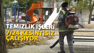 resim