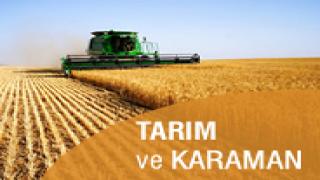 resim