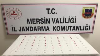 resim