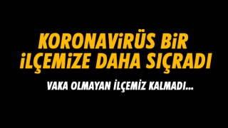 resim