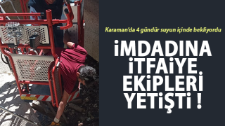 resim