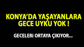 resim