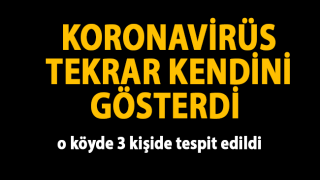 resim