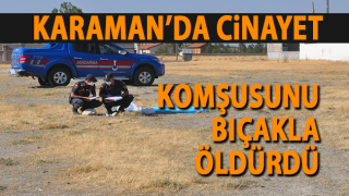 resim