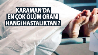 resim