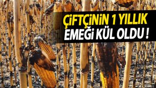 resim