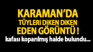 resim