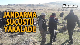 resim