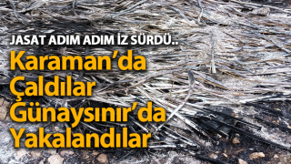 resim