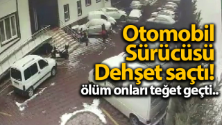 Resim