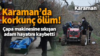 resim