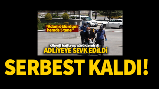 resim