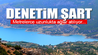 resim